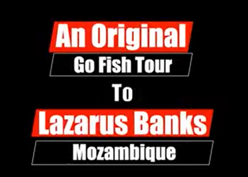 Go Fish Lazarus Banks